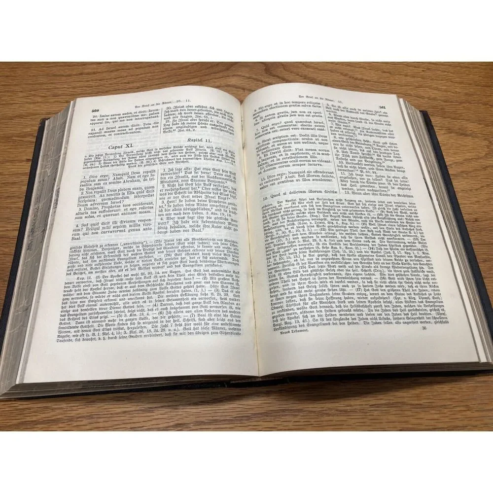 Biblia Sacra Vulgate Editionis Sixti V.‎ Clements VIII 1910
